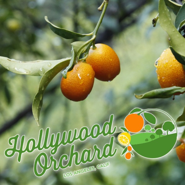 Hollywood-Orchard-TN-2