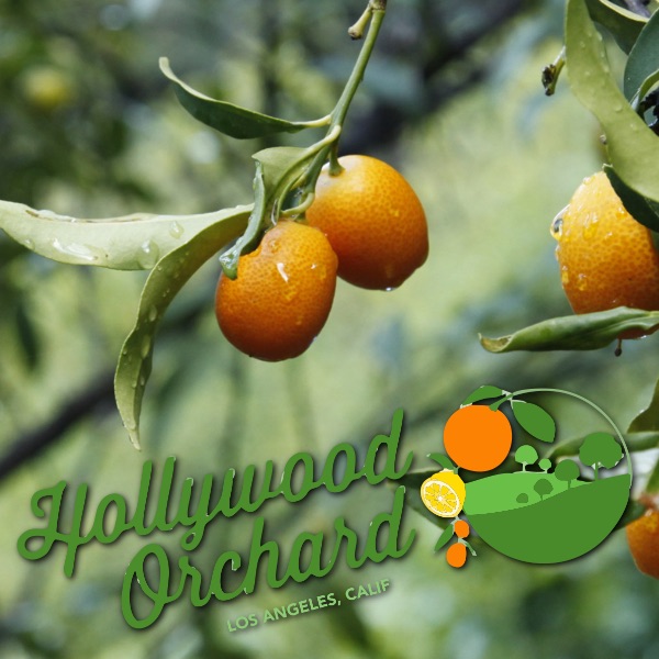 Hollywood-Orchard-TN